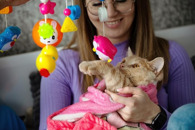 איך לבחור צעצועים מתאימים לחתול שלך: לשחק נכון, לחיות טוב