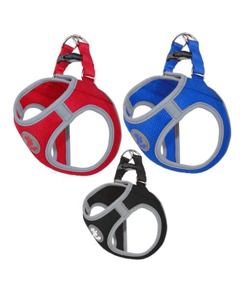 אר פור פטס | רתמת קוויק פיט לכלבים | L