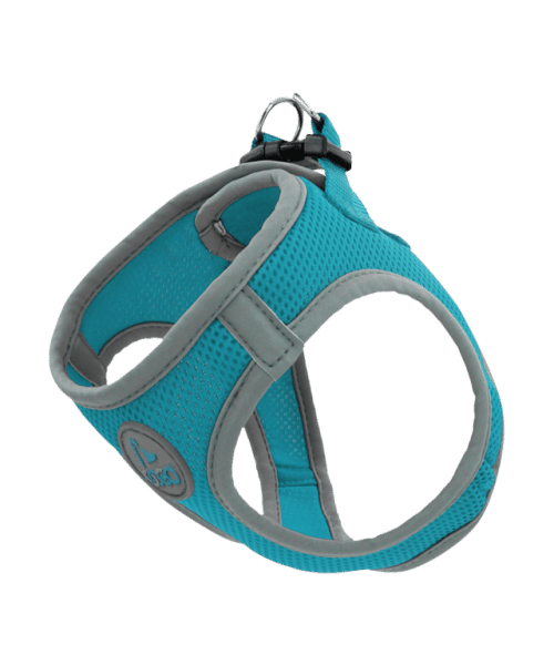דוקו | רתמת רשת לכלבים - טורקיז