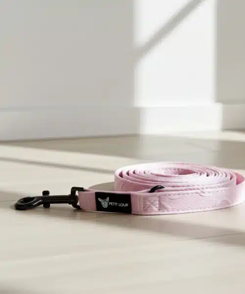 פטיט לופ | רצועה לכלב - Amour
