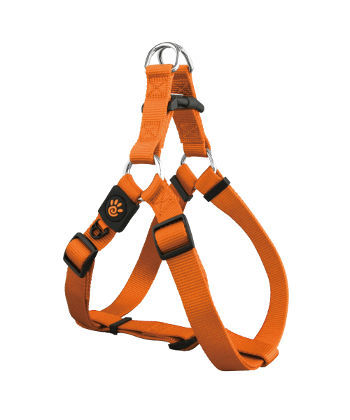 דוקו | רתמה בייסיק לכלבים - כתום