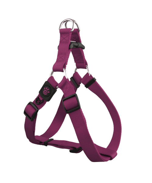 דוקו | רתמה בייסיק לכלבים - סגול