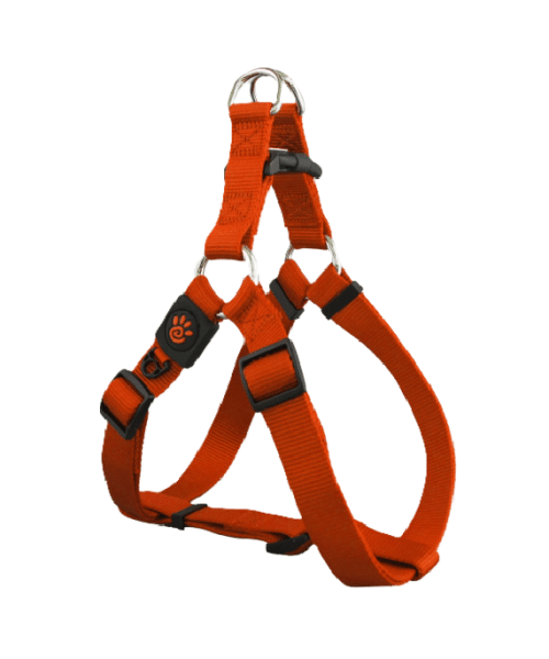 דוקו | רתמה בייסיק לכלבים - כתום