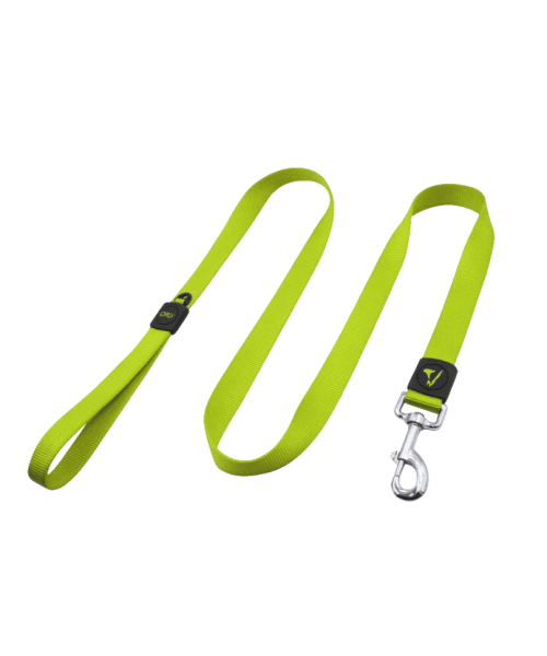 דוקו | רצועה בייסיק לכלבים - צהוב