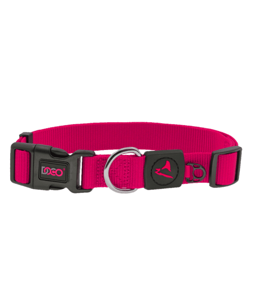 דוקו | קולר בייסיק לכלבים - ורוד