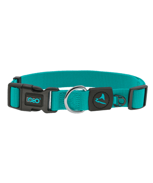דוקו | קולר בייסיק לכלבים - טורקיז