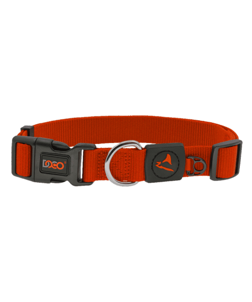דוקו | קולר בייסיק לכלבים - כתום