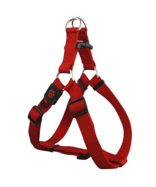 דוקו | רתמה בייסיק לכלבים - אדום