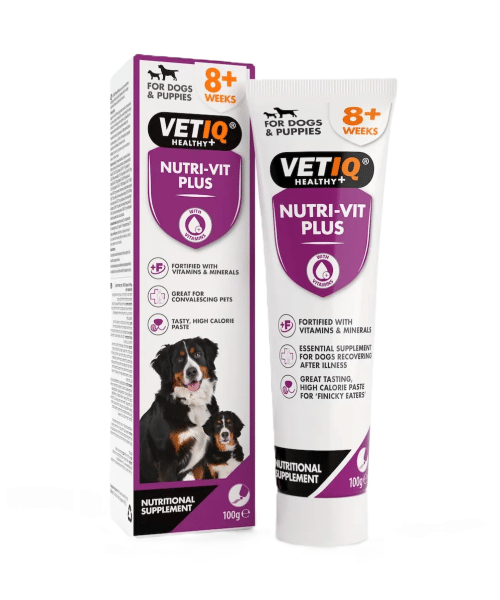 וטיק | משחת ויטמינים תזונתית | 100 גר'