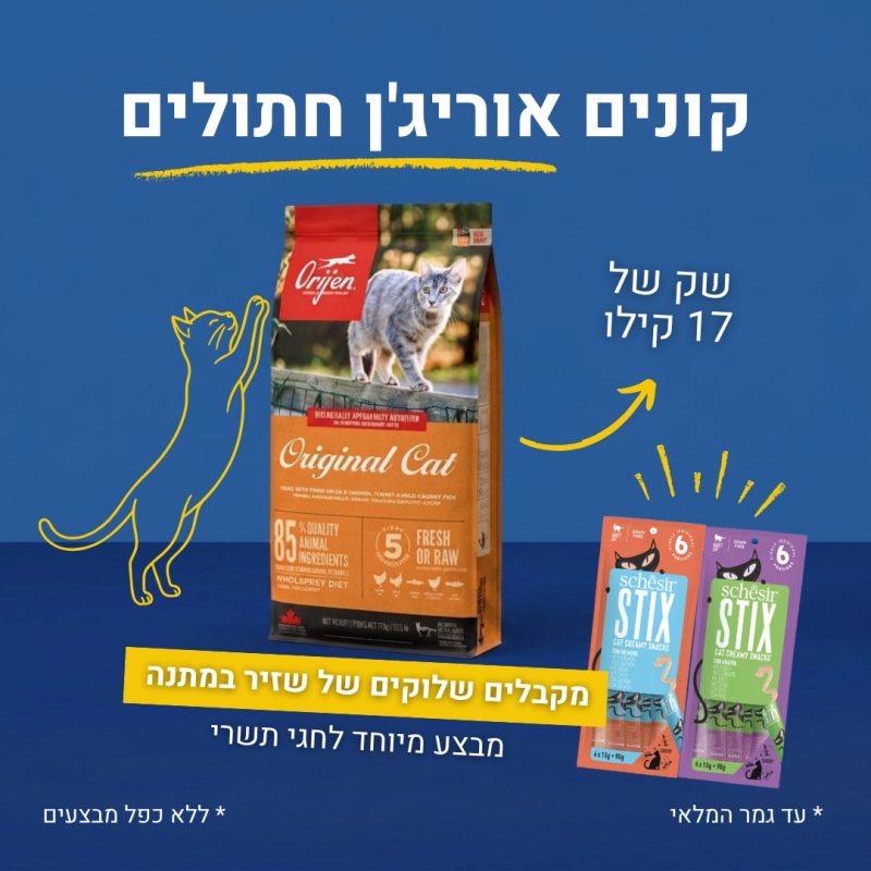 מבצעי השבוע