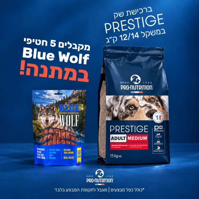 מבצעי השבוע