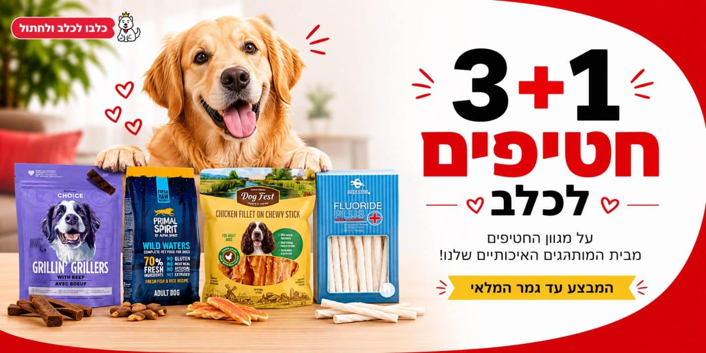 3+1 חטיפים לכלב