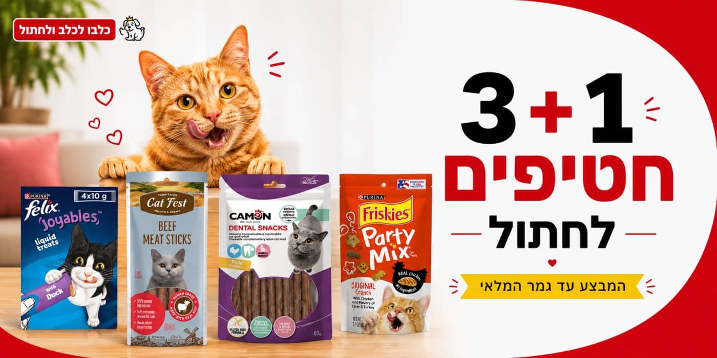 5+1 חטיפים לחתול