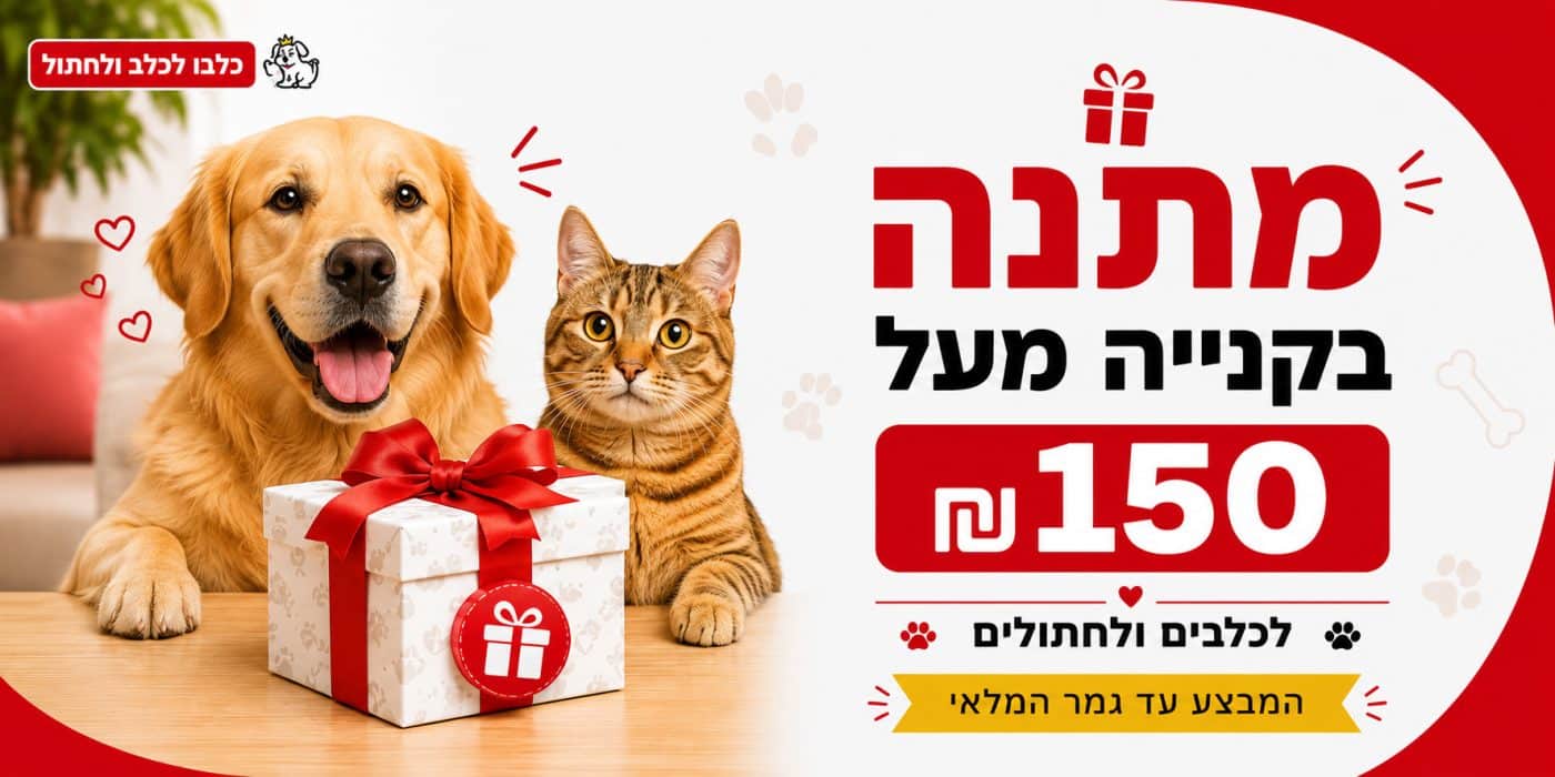 מתנה בקנייה מעל ₪150
