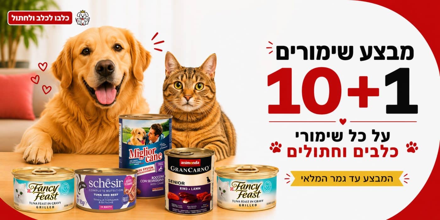 מבצע שימורים 10+1 לחתול