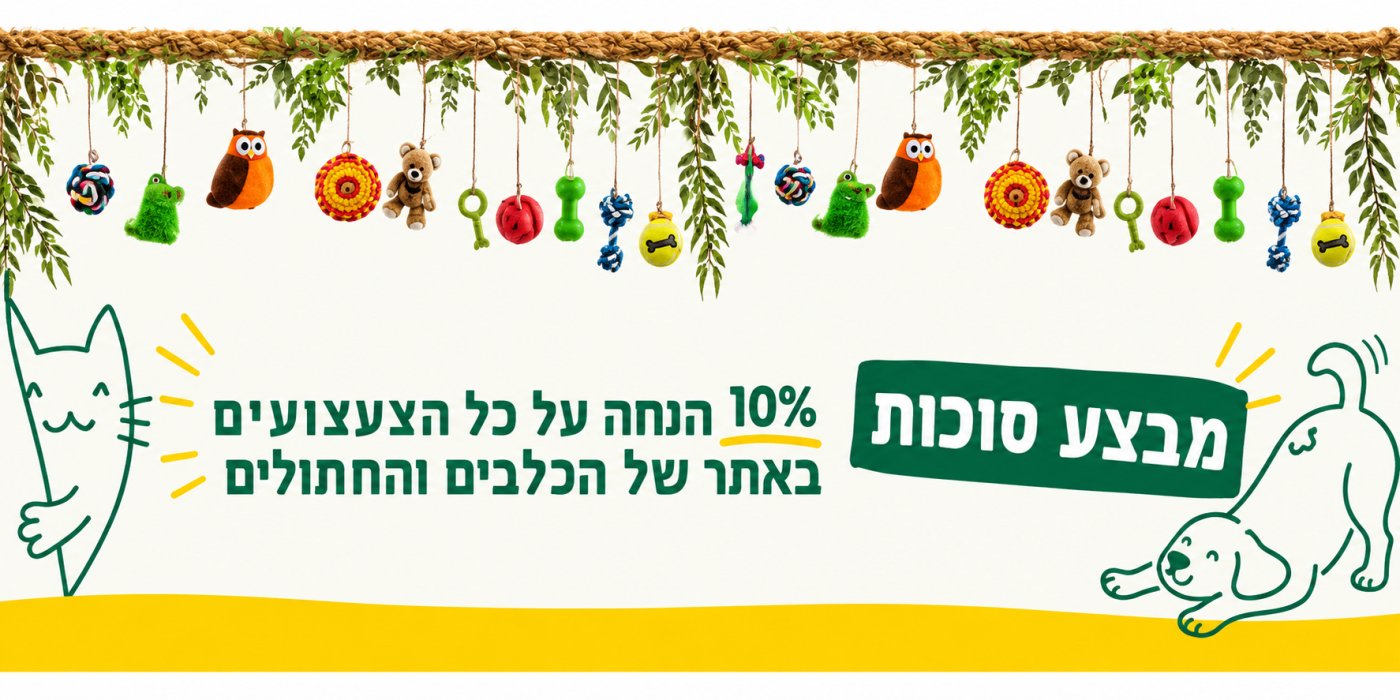 מבצע סוכות 10% הנחה על כל הצעצועים באתר