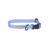 AMIPLAY Light Blue Dog Collar