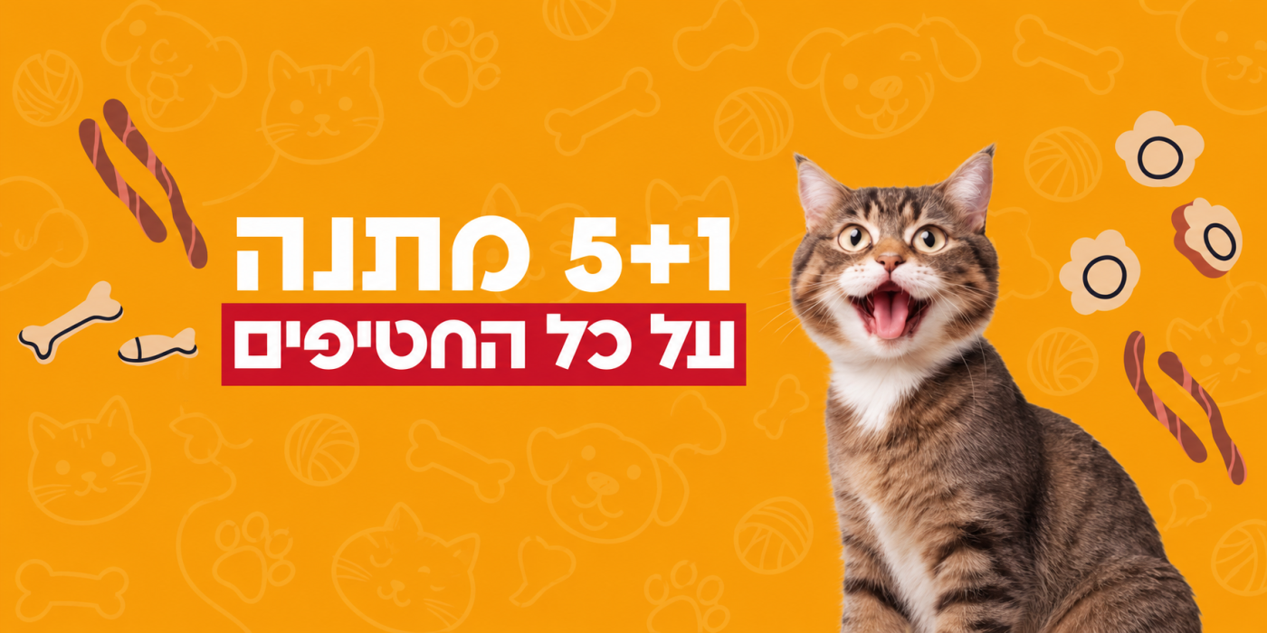 5+1 חטיפים לחתול