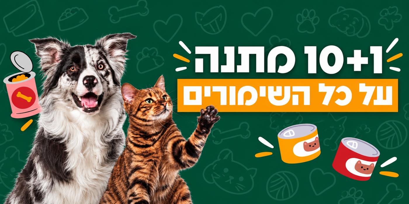 מבצע שימורים 10+1 לחתול