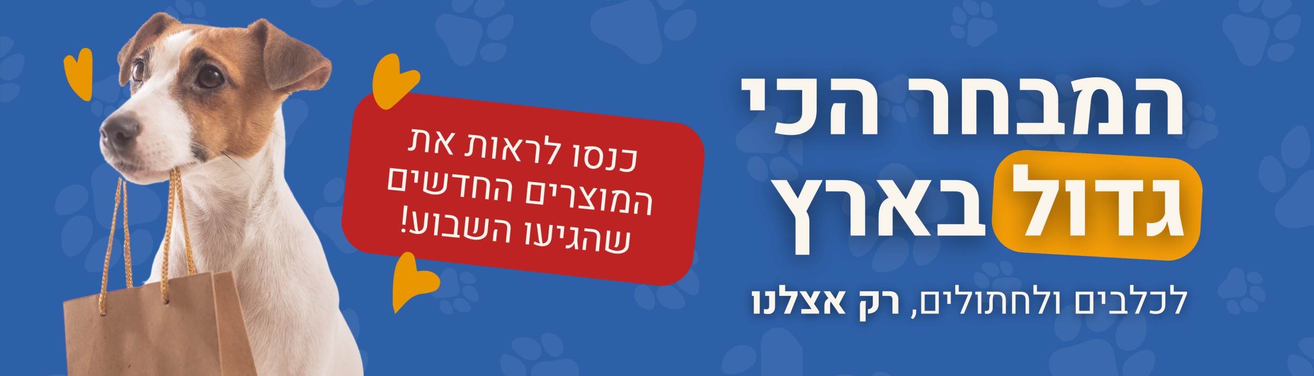 כלב מרחרח שקית קניות עם צעצועים על רקע כחול – חנות חיות אונליין, חנות חיות עם משלוחים, מזון לכלבים ומזון יבש